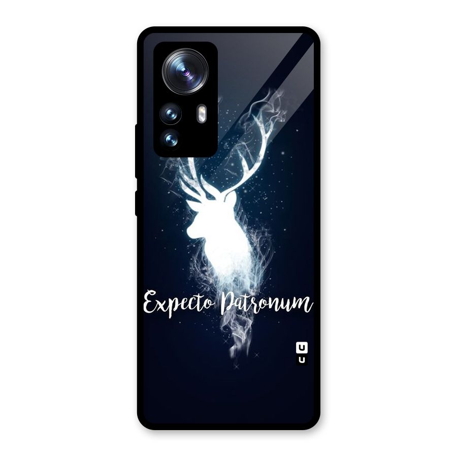 Expected Wish Glass Back Case for Xiaomi 12 Pro
