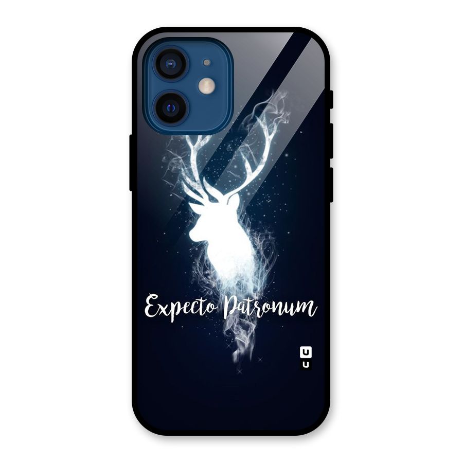 Expected Wish Glass Back Case for iPhone 12 Mini
