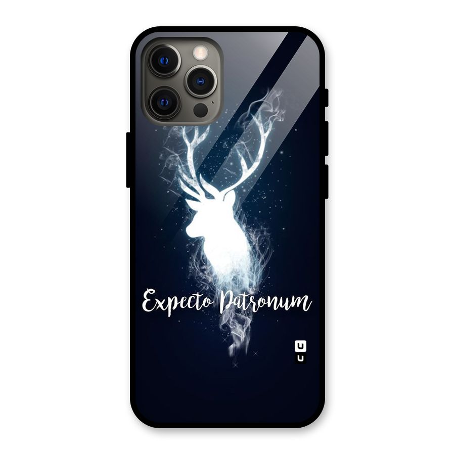 Expected Wish Glass Back Case for iPhone 12 Pro Max