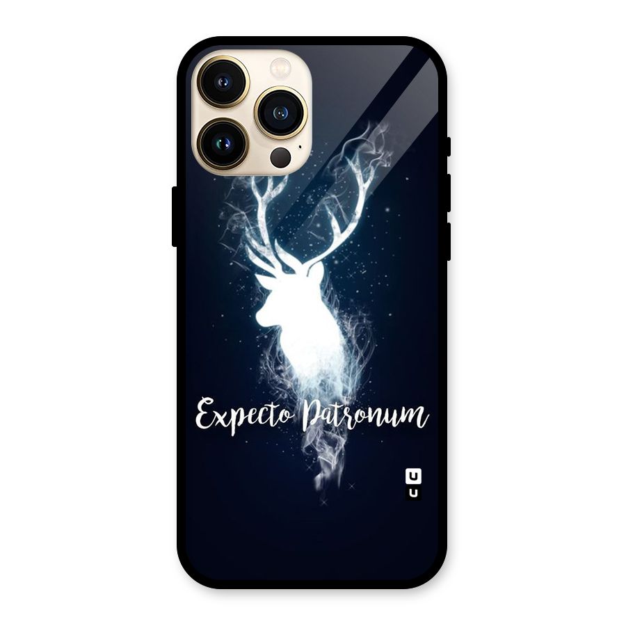 Expected Wish Glass Back Case for iPhone 13 Pro Max