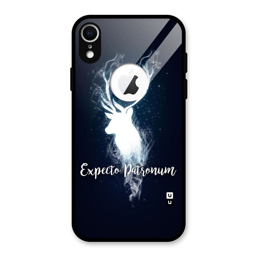 Expected Wish Glass Back Case for iPhone XR Logo Cut