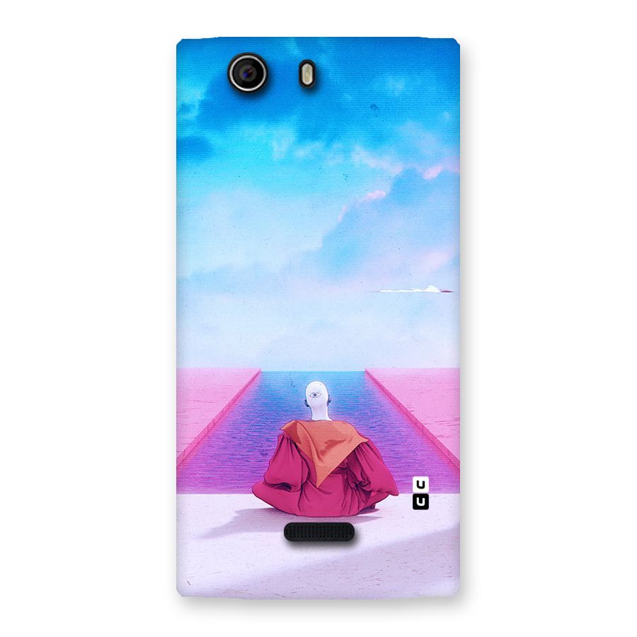 Eye Art Back Case for Canvas Nitro 2 E311