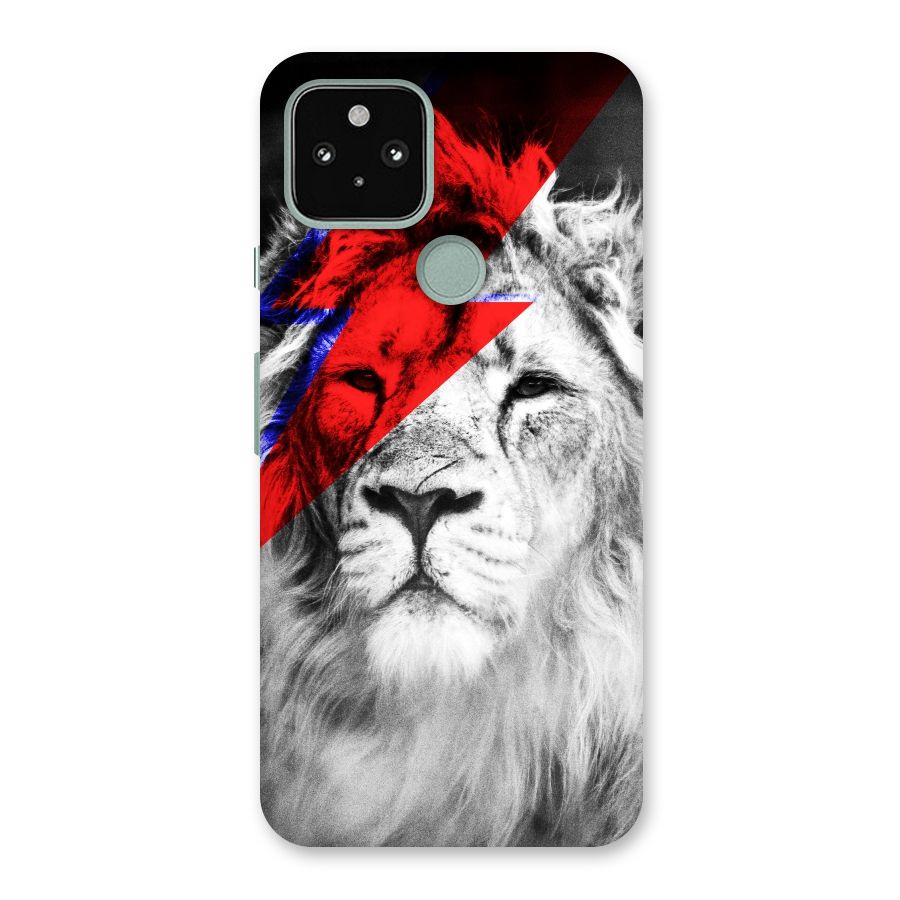 Fearless Lion Back Case for Google Pixel 5