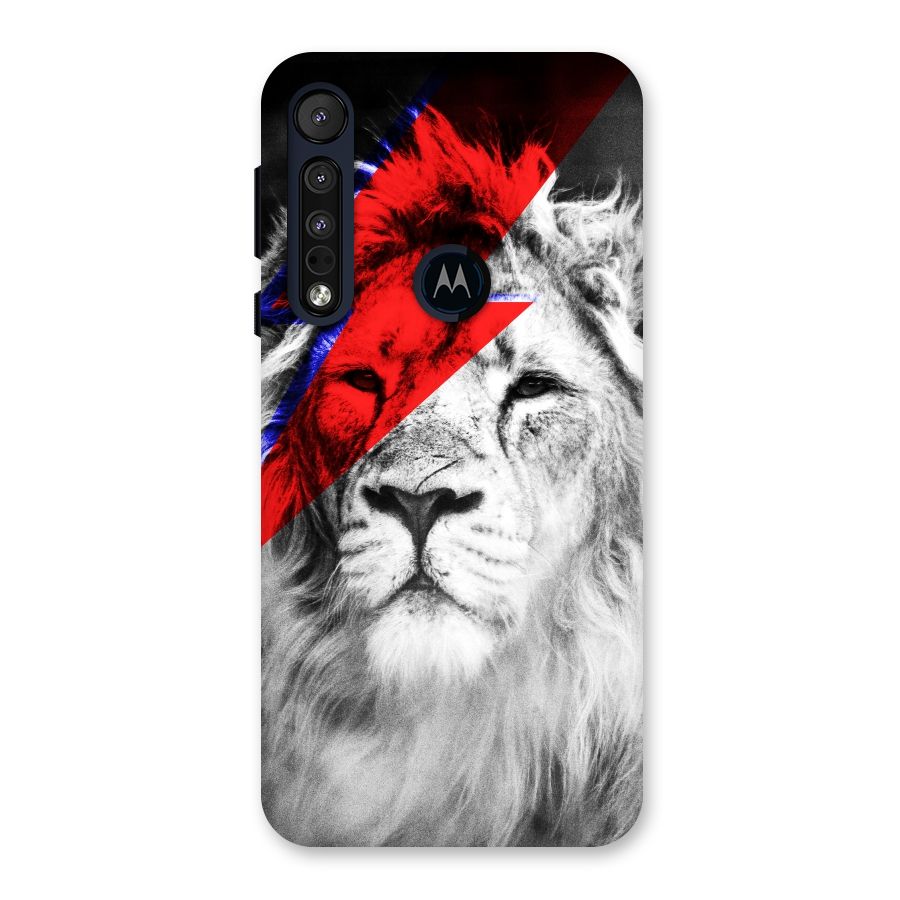 Fearless Lion Back Case for Motorola One Macro