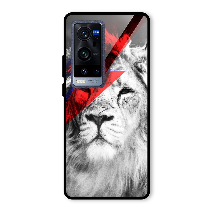 Fearless Lion Glass Back Case for Vivo X60 Pro Plus