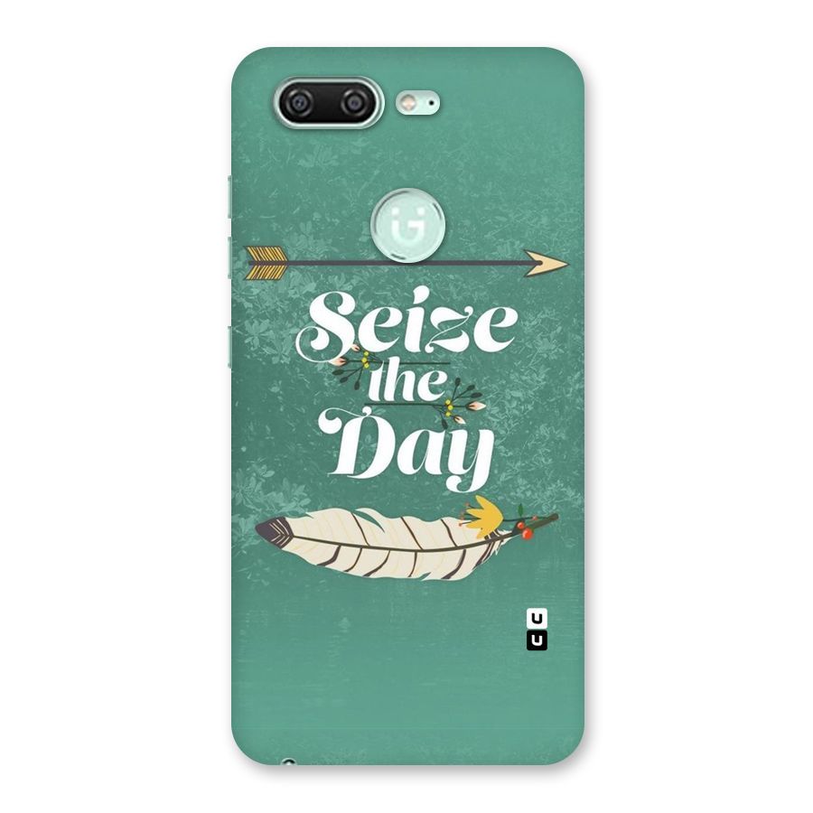 Feather Seize Back Case for Gionee S10