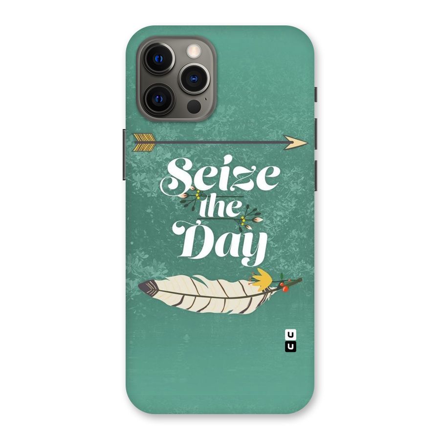 Feather Seize Back Case for iPhone 12 Pro Max