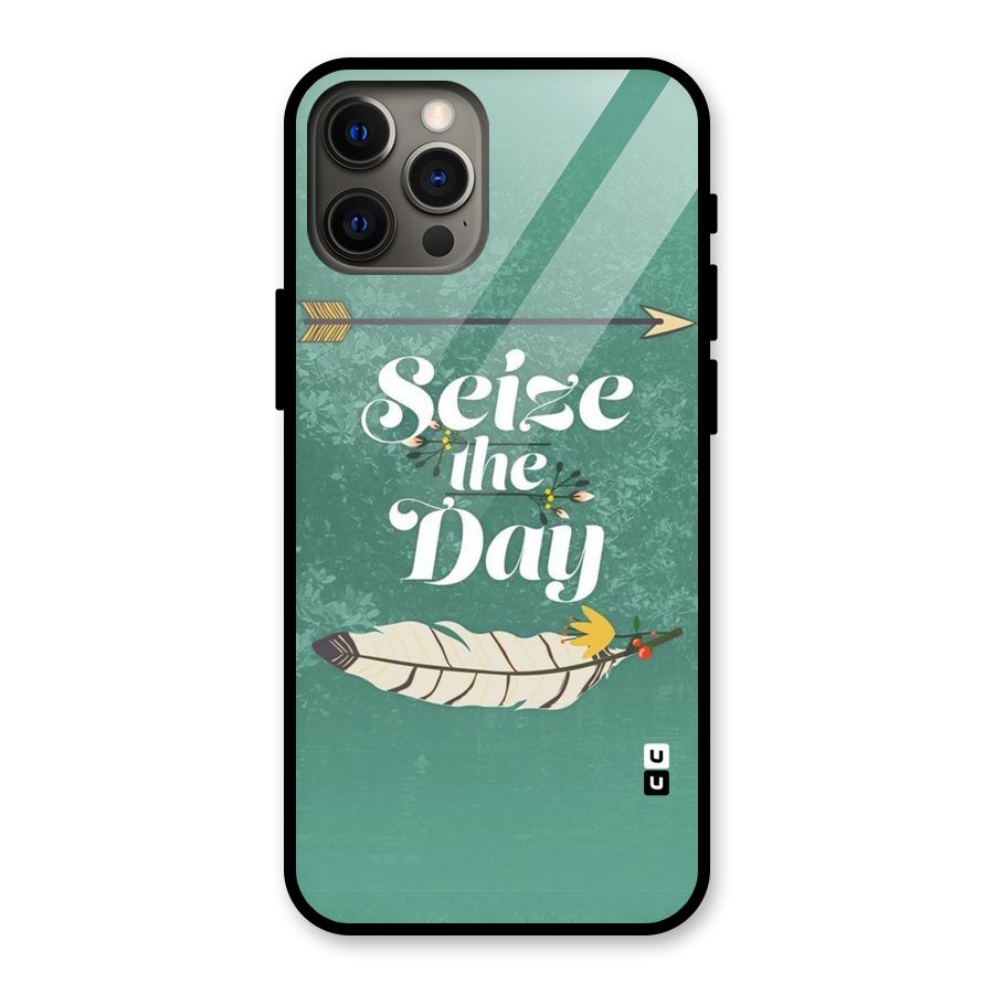 Feather Seize Glass Back Case for iPhone 12 Pro Max