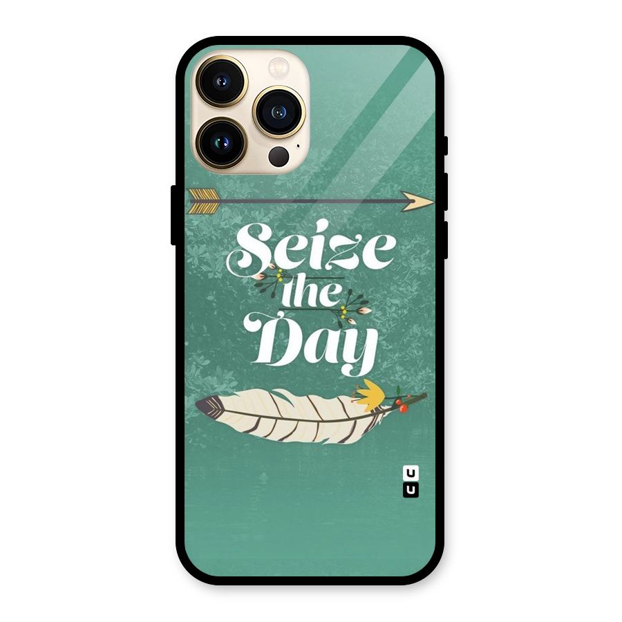 Feather Seize Glass Back Case for iPhone 13 Pro Max