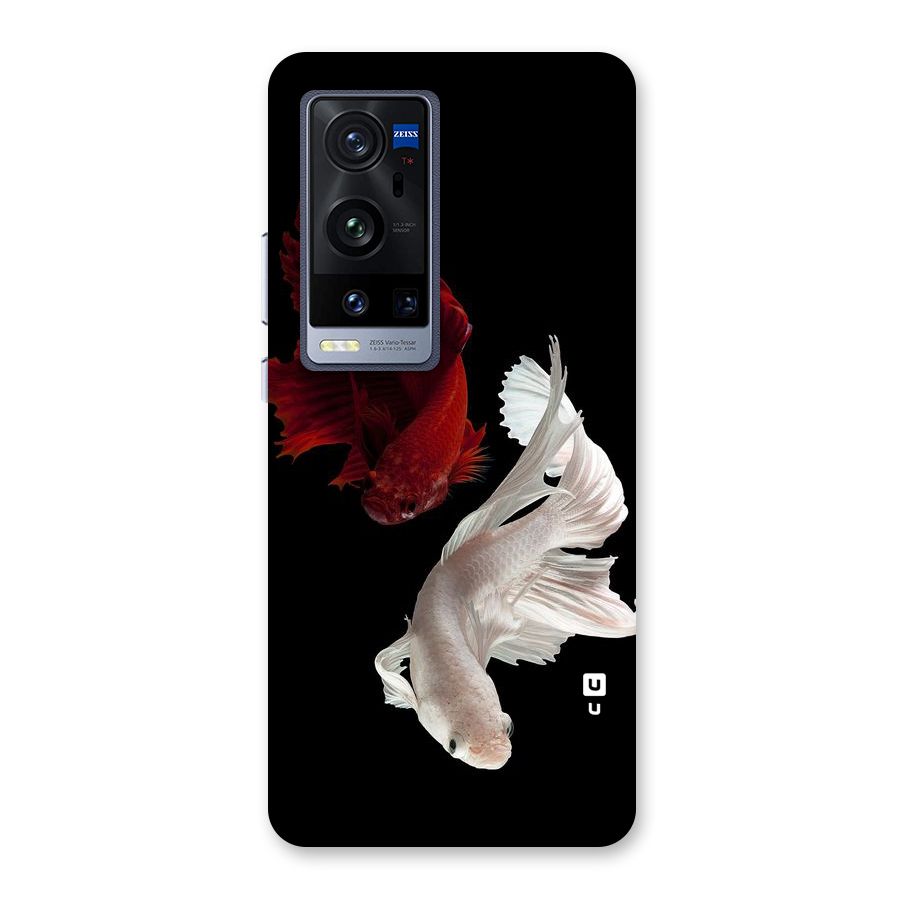 Fish Design Back Case for Vivo X60 Pro Plus