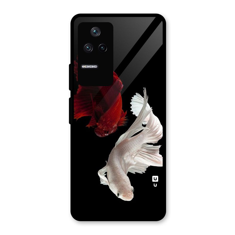 Fish Design Glass Back Case for Poco F4 5G