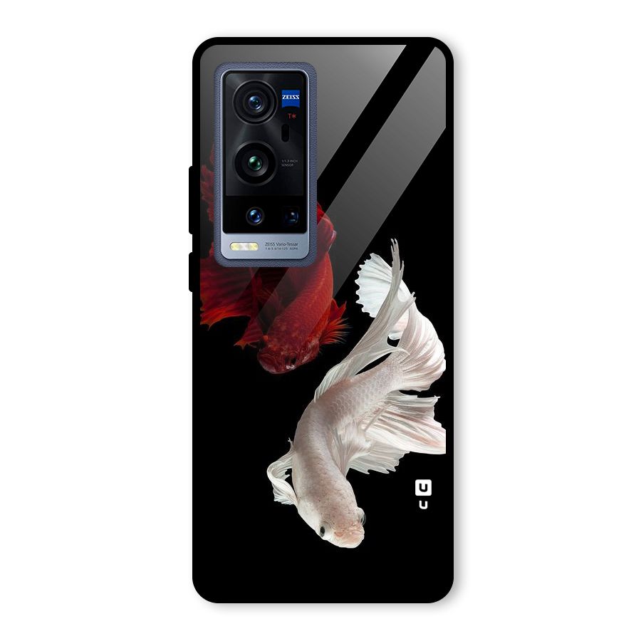 Fish Design Glass Back Case for Vivo X60 Pro Plus