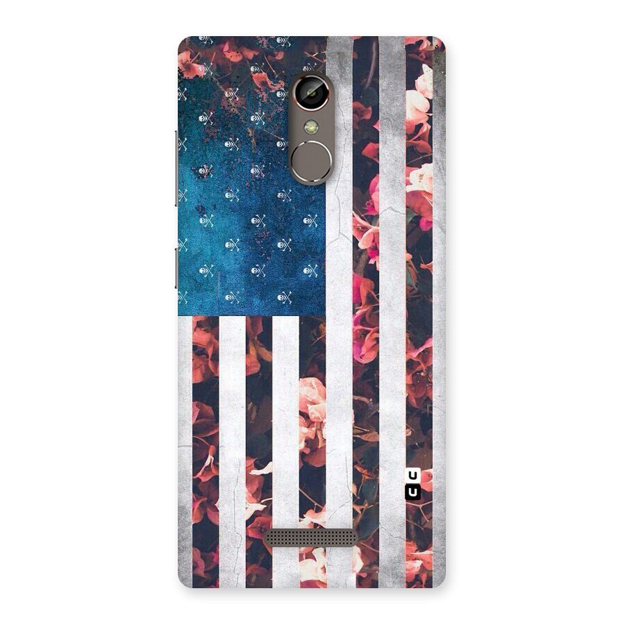 Flag Stripes Back Case for Gionee S6s