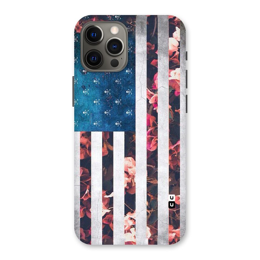 Flag Stripes Back Case for iPhone 12 Pro Max