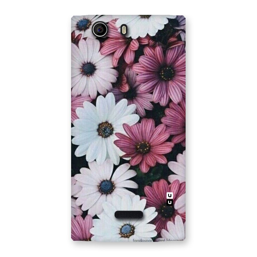 Floral Shades Pink Back Case for Canvas Nitro 2 E311