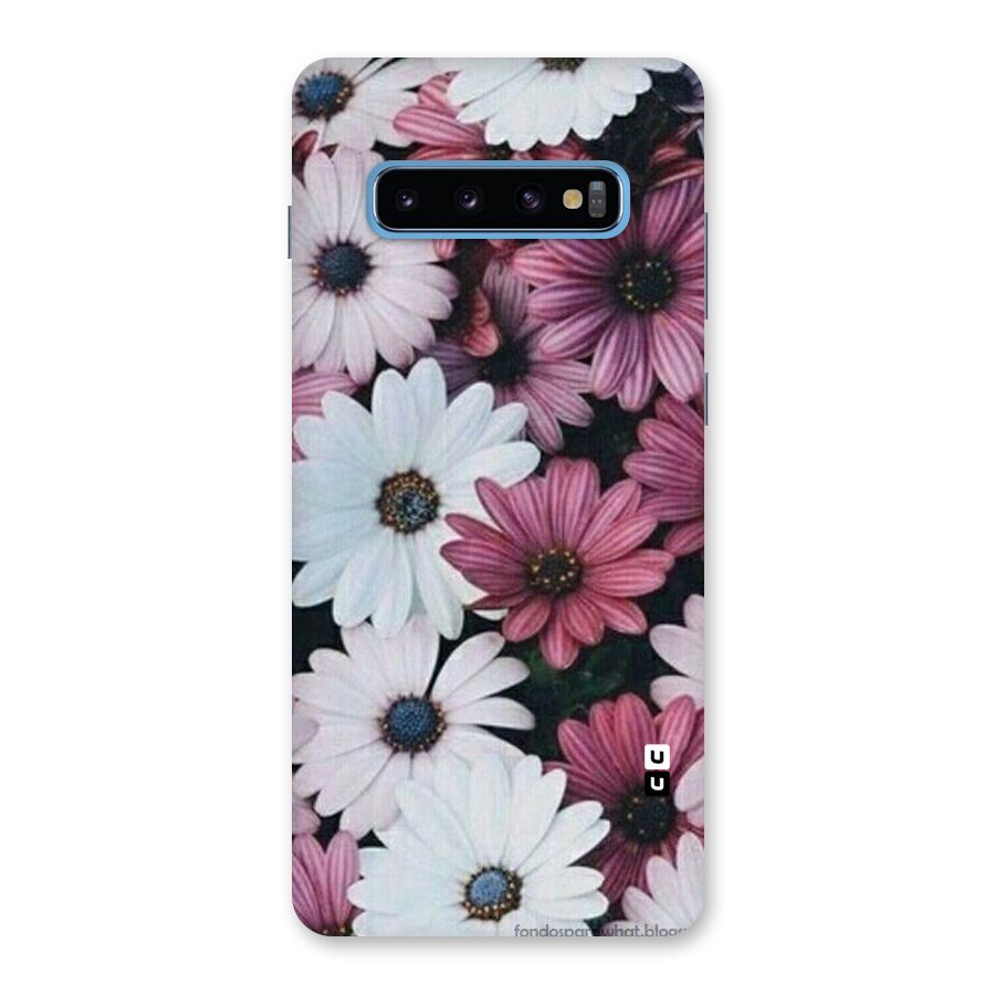 Floral Shades Pink Back Case for Galaxy S10 Plus