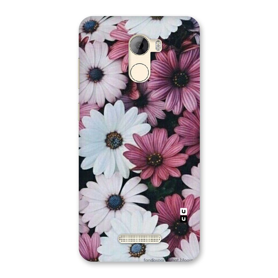 Floral Shades Pink Back Case for Gionee A1 LIte