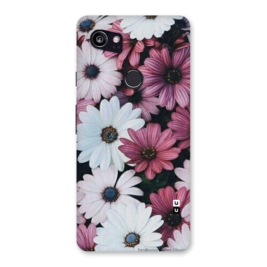 Floral Shades Pink Back Case for Google Pixel 2 XL