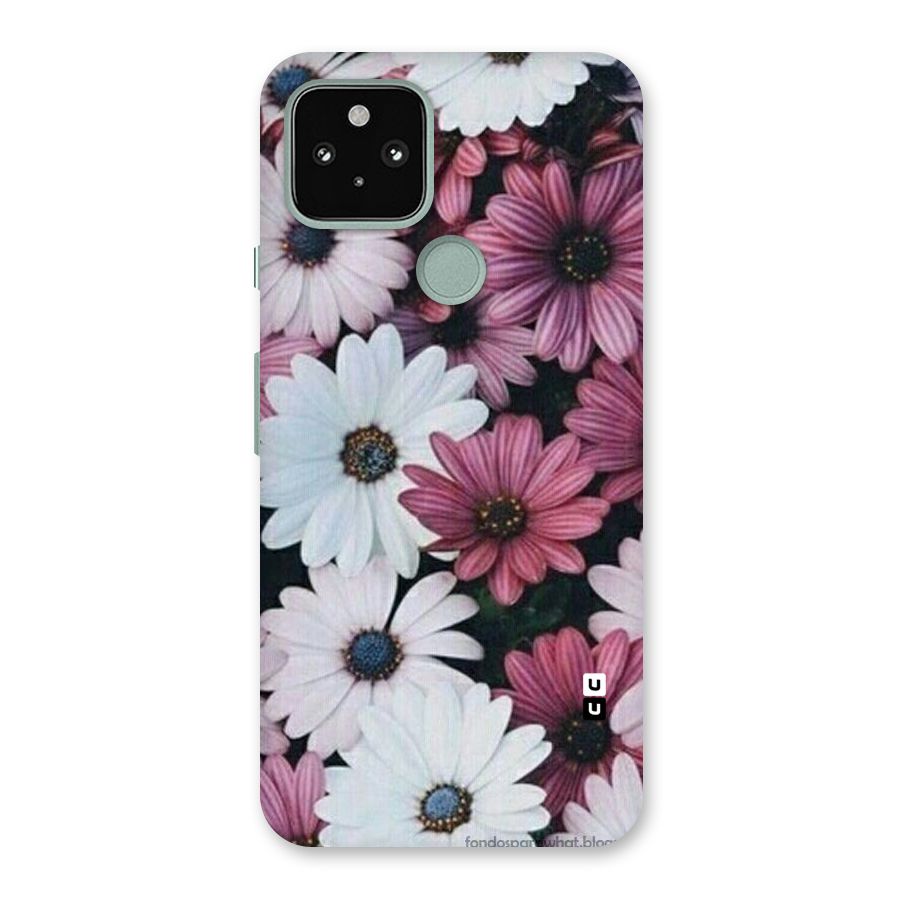 Floral Shades Pink Back Case for Google Pixel 5