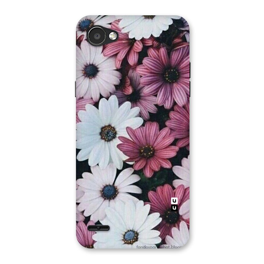Floral Shades Pink Back Case for LG Q6