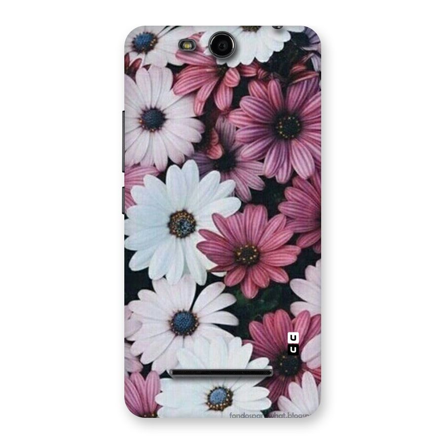 Floral Shades Pink Back Case for Micromax Canvas Juice 3 Q392