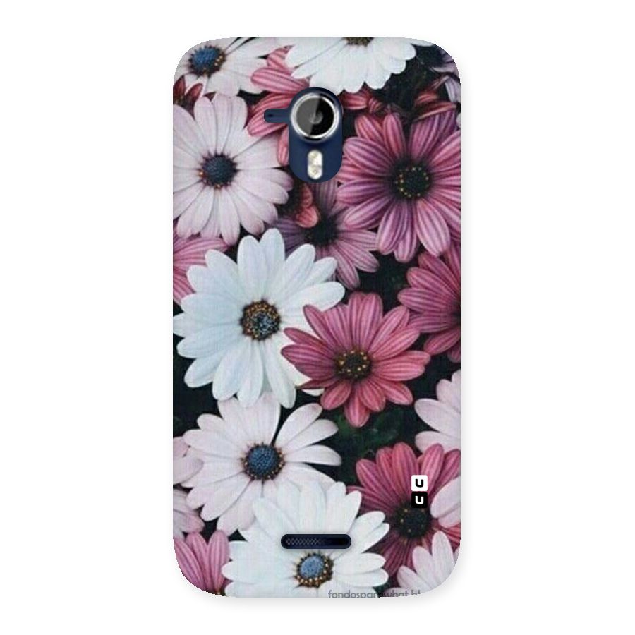 Floral Shades Pink Back Case for Micromax Canvas Magnus A117