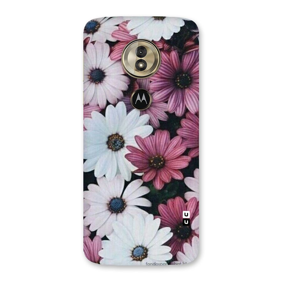 Floral Shades Pink Back Case for Moto G6 Play