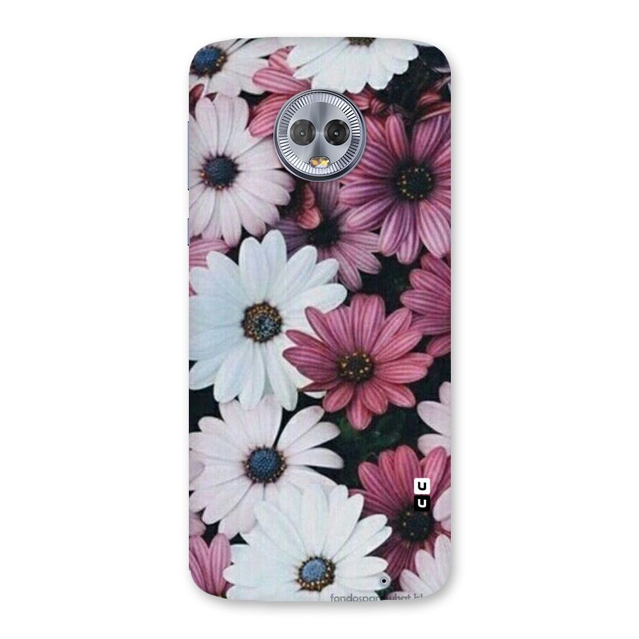 Floral Shades Pink Back Case for Moto G6 Plus