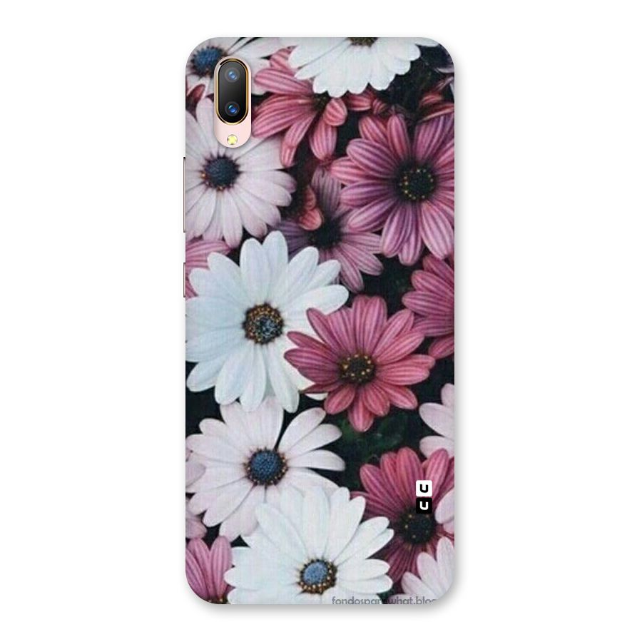 Floral Shades Pink Back Case for Vivo V11 Pro