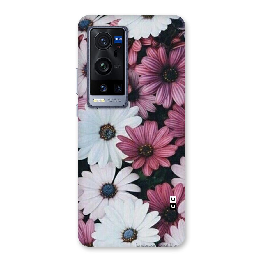 Floral Shades Pink Back Case for Vivo X60 Pro Plus