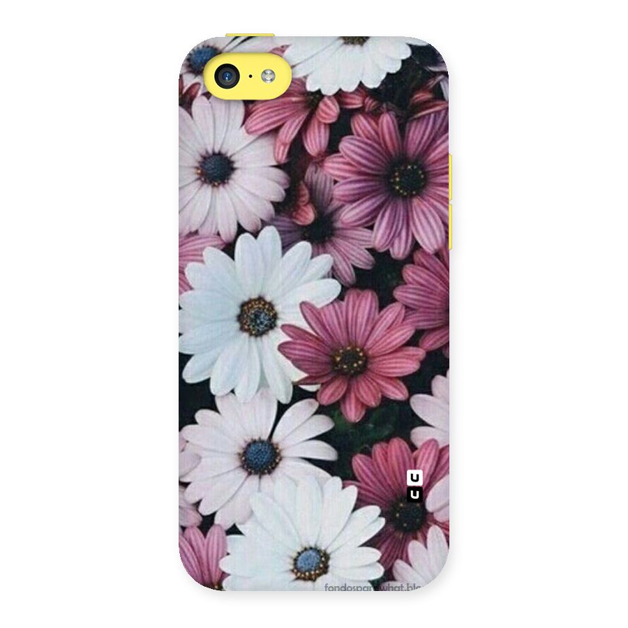 Floral Shades Pink Back Case for iPhone 5C
