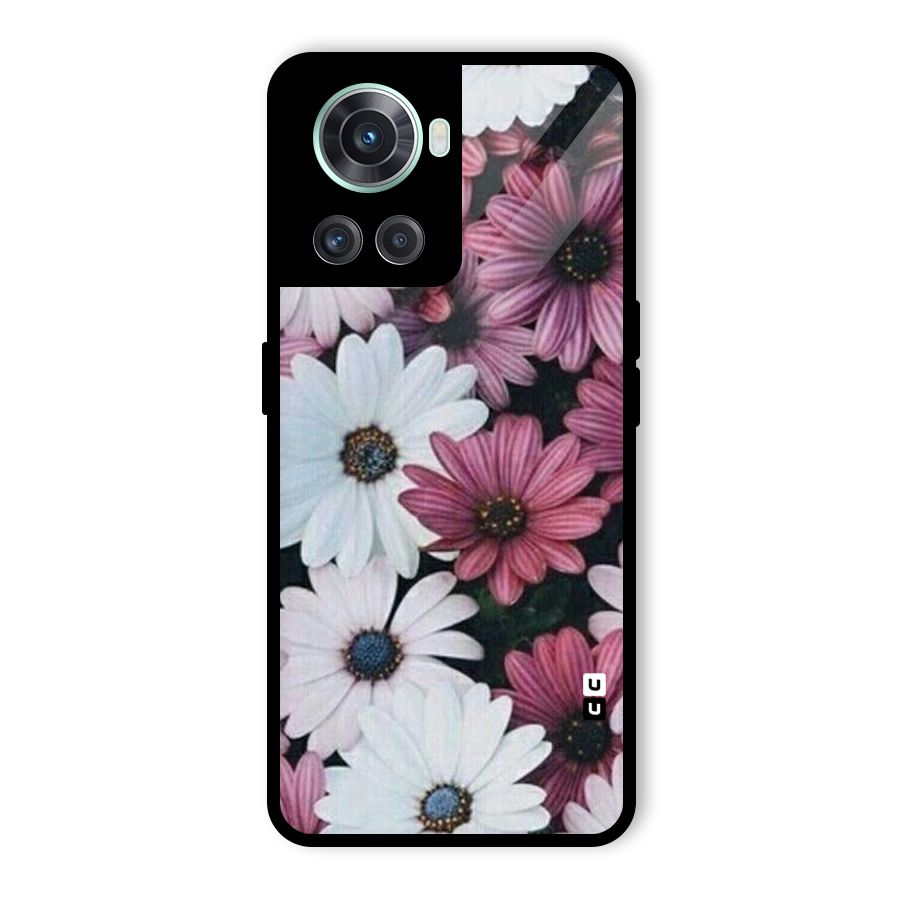 Floral Shades Pink Glass Back Case for OnePlus 10R