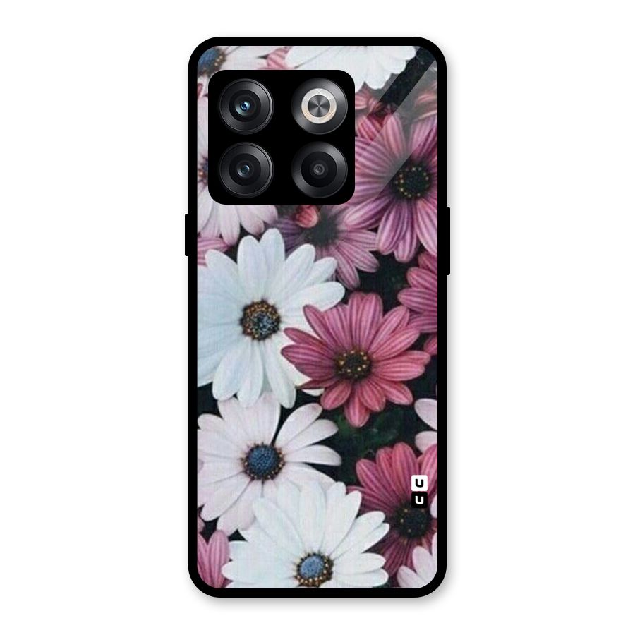 Floral Shades Pink Glass Back Case for OnePlus 10T