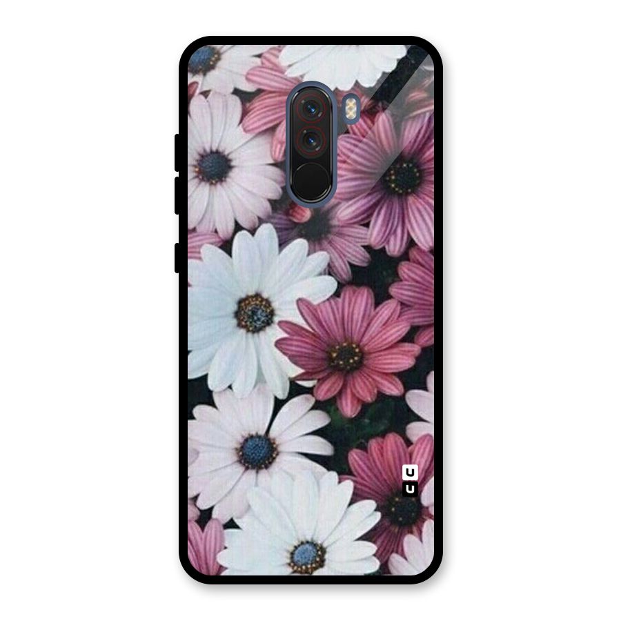 Floral Shades Pink Glass Back Case for Poco F1