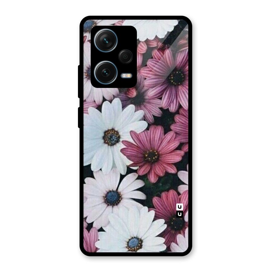 Floral Shades Pink Glass Back Case for Redmi Note 12 Pro Plus 5G
