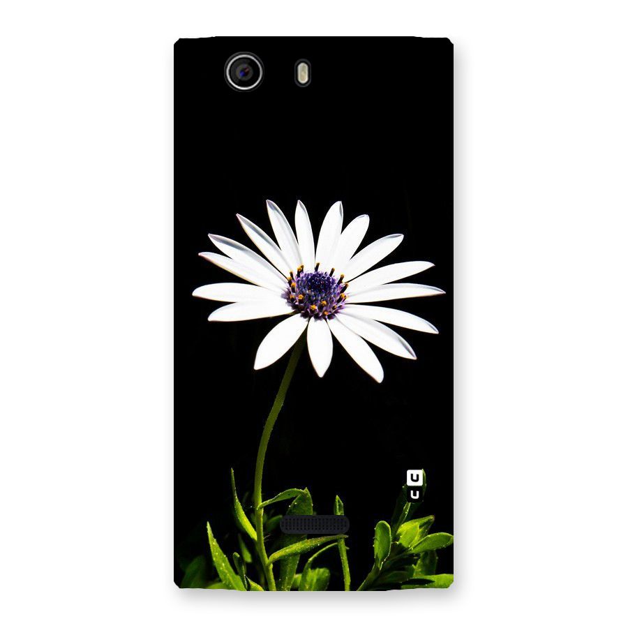 Flower White Spring Back Case for Canvas Nitro 2 E311