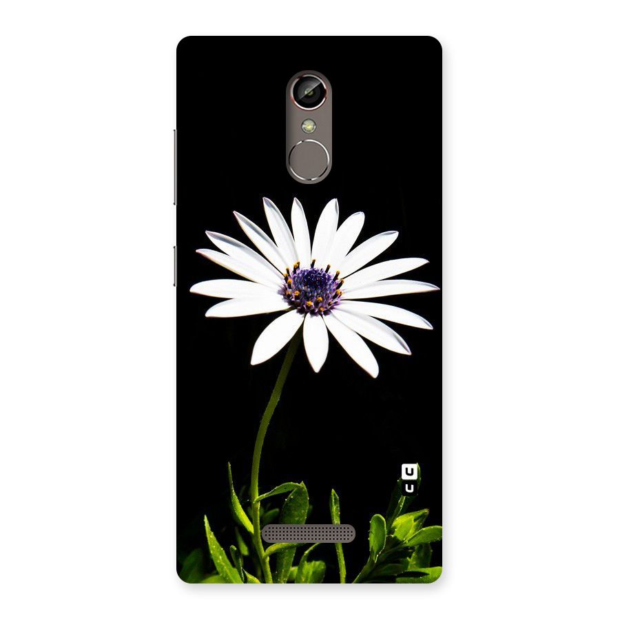 Flower White Spring Back Case for Gionee S6s