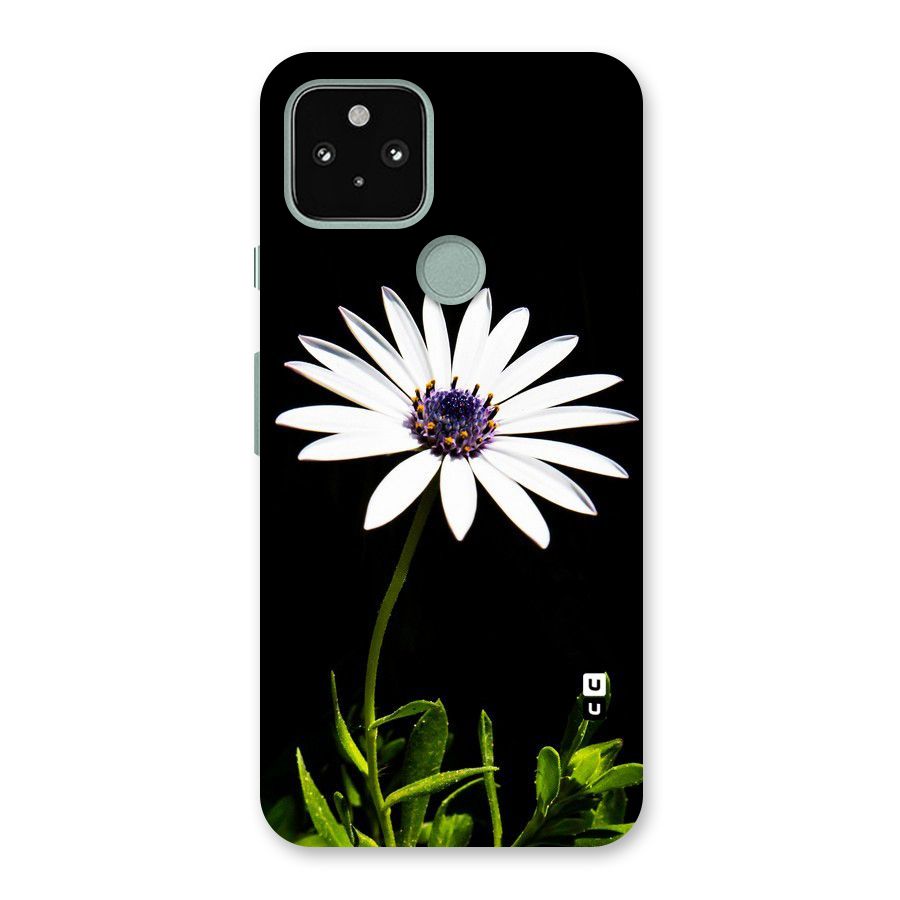 Flower White Spring Back Case for Google Pixel 5
