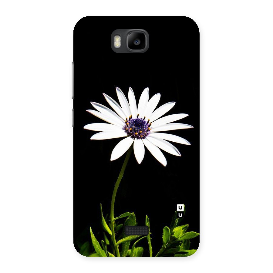 Flower White Spring Back Case for Honor Bee