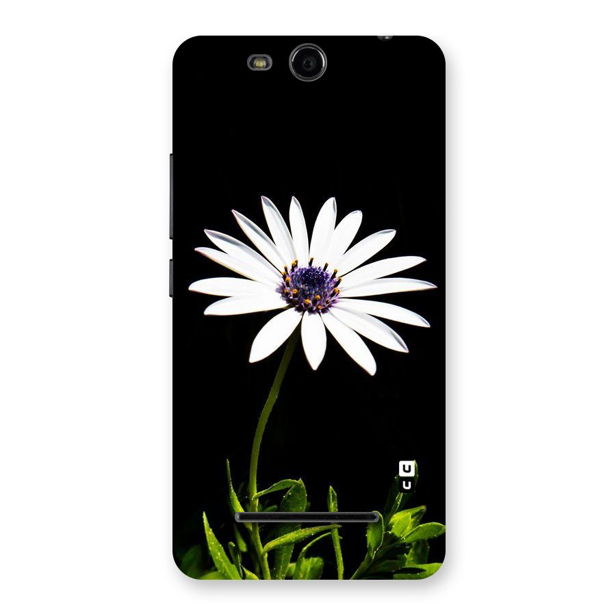 Flower White Spring Back Case for Micromax Canvas Juice 3 Q392