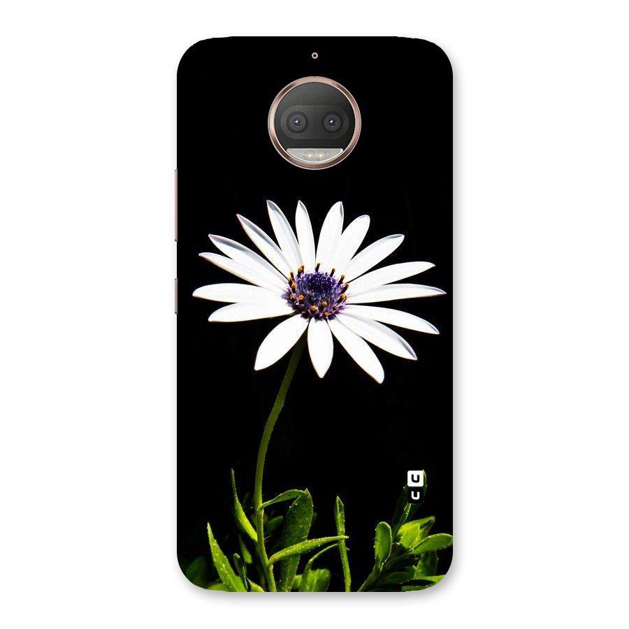 Flower White Spring Back Case for Moto G5s Plus