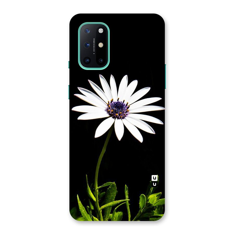 Flower White Spring Back Case for OnePlus 8T