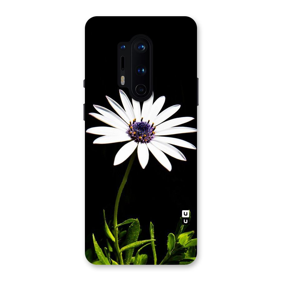 Flower White Spring Back Case for OnePlus 8 Pro