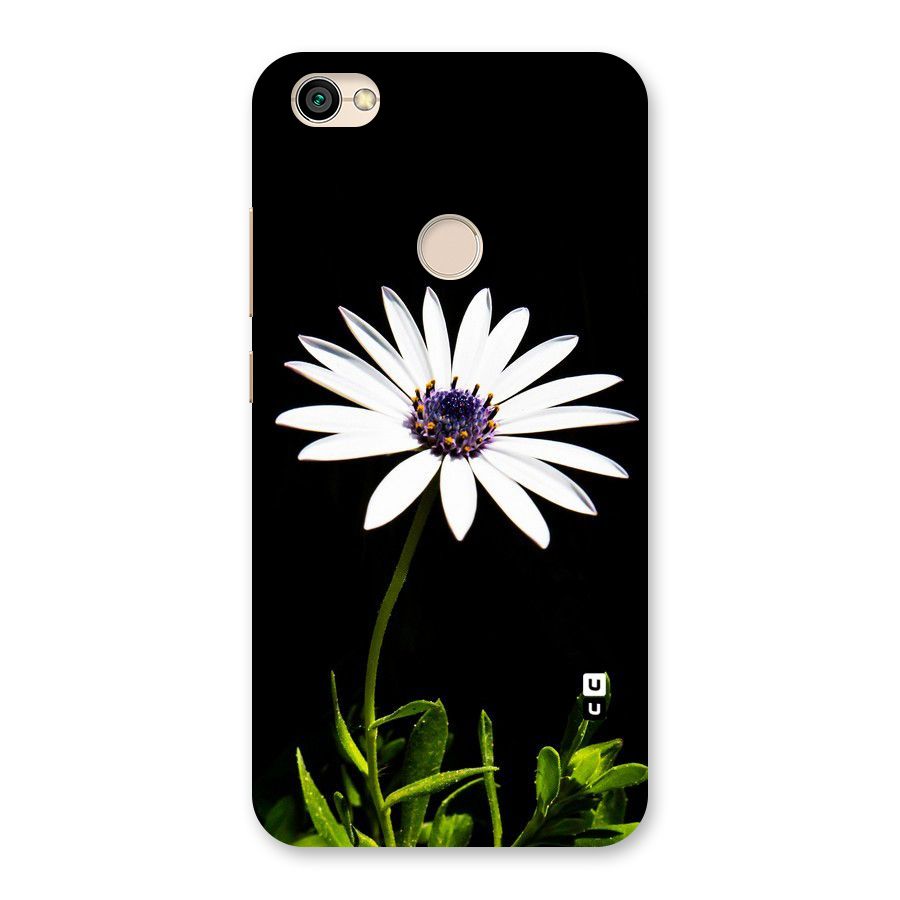 Flower White Spring Back Case for Redmi Y1 2017