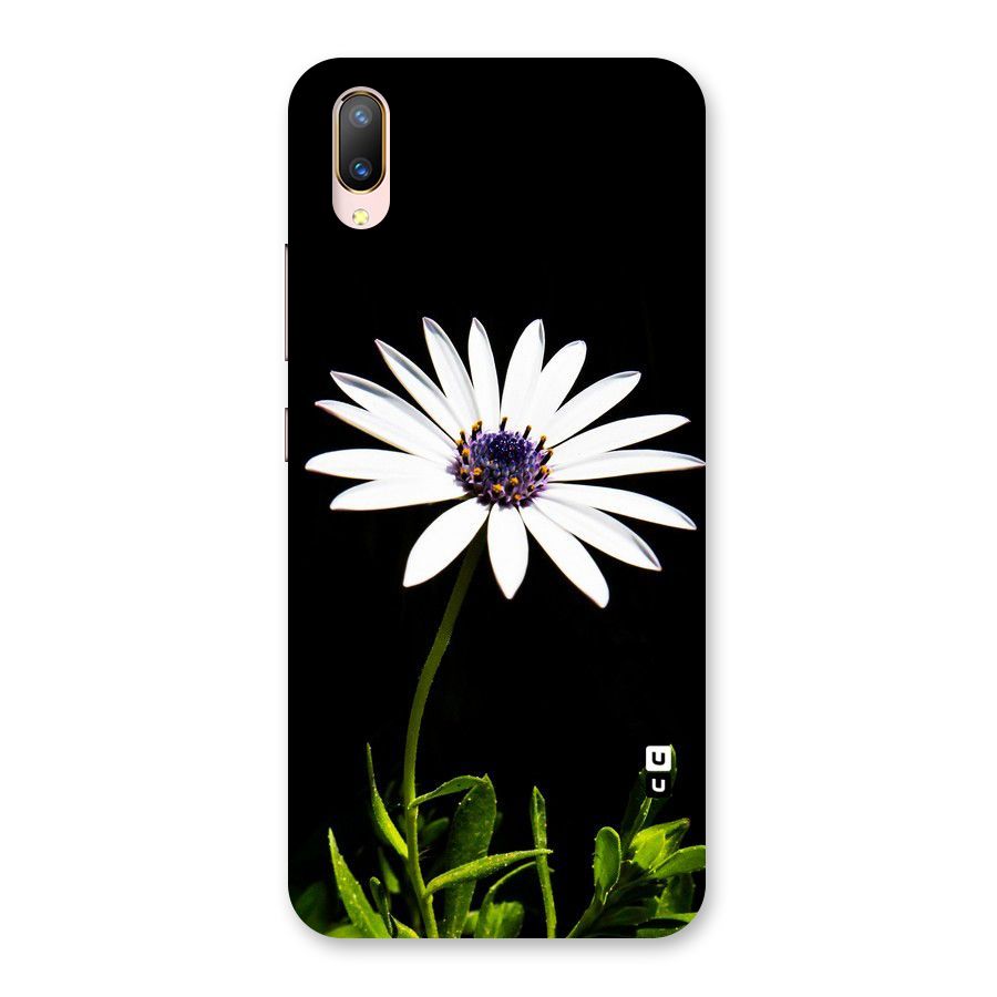 Flower White Spring Back Case for Vivo V11 Pro