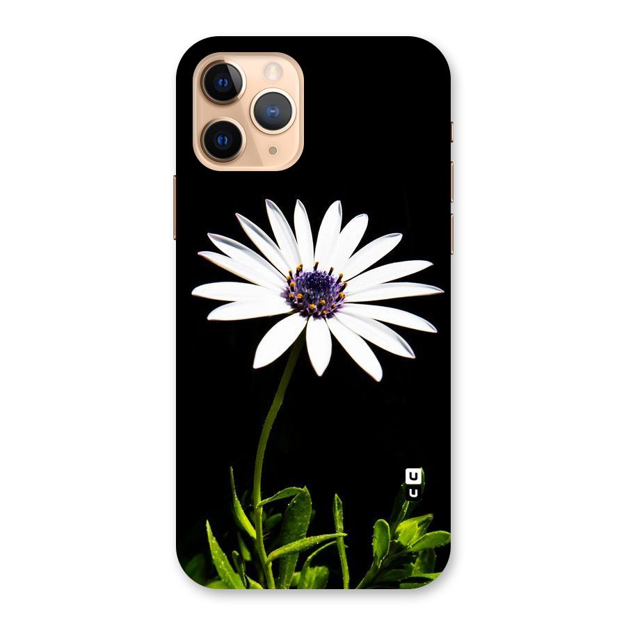 Flower White Spring Back Case for iPhone 11 Pro