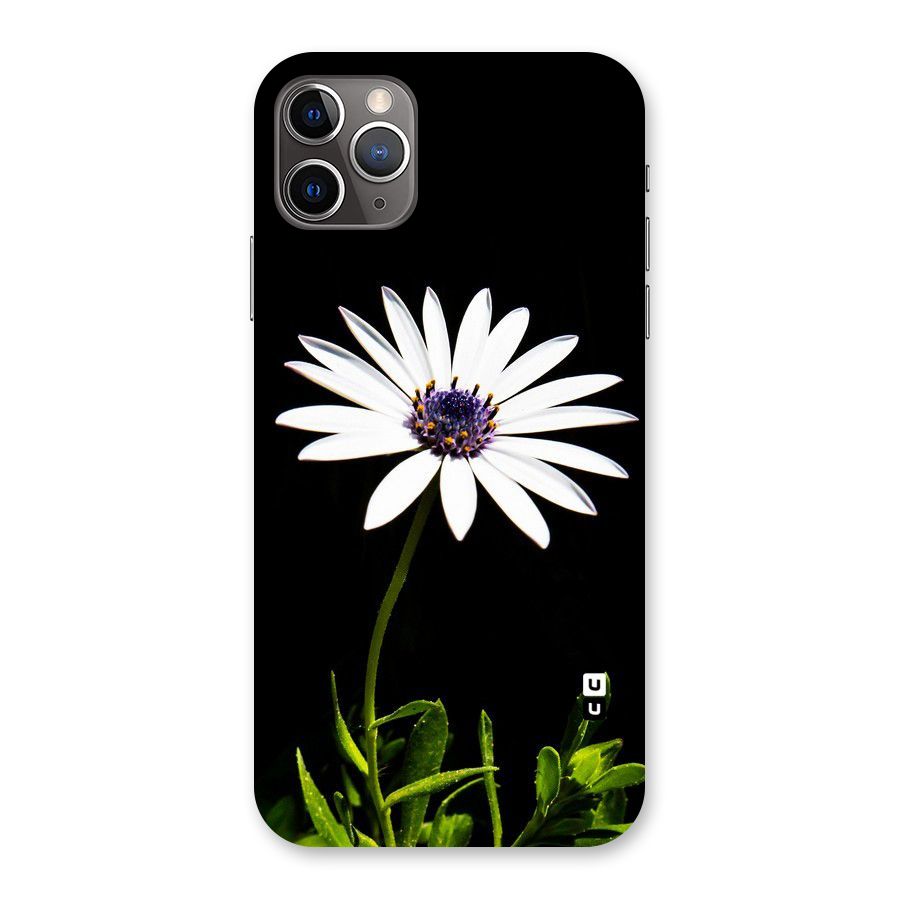 Flower White Spring Back Case for iPhone 11 Pro Max