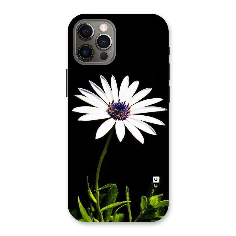 Flower White Spring Back Case for iPhone 12 Pro