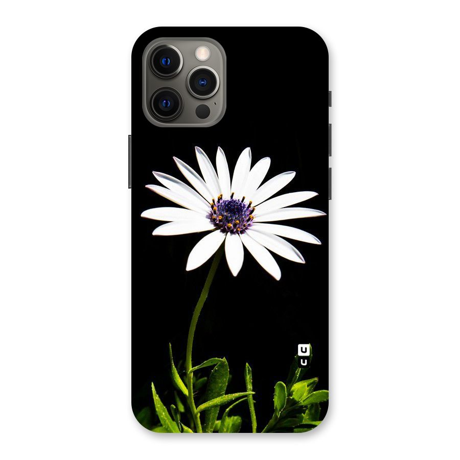 Flower White Spring Back Case for iPhone 12 Pro Max
