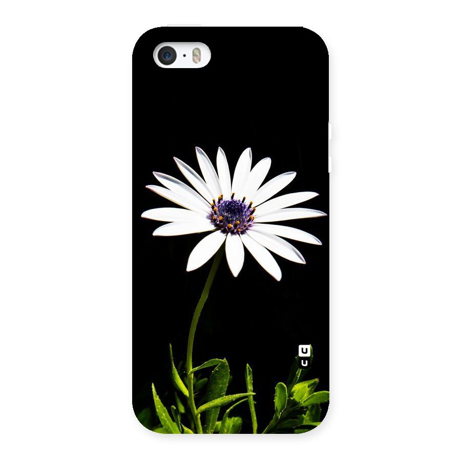 Flower White Spring Back Case for iPhone 5 5S